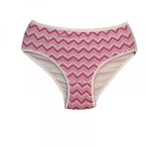 wholesale ladies panties cheap pink 300x300 - Ladies All over printed 5-Pack Brief Panties